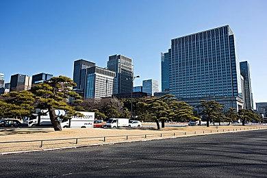 《宝可梦传说：阿尔宙斯》并非完全开放世界游戏 将类似于《怪物猎人》