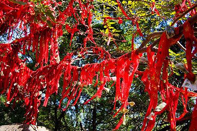 《GTA6》全力开发始于2020年 开发成本超10亿美元